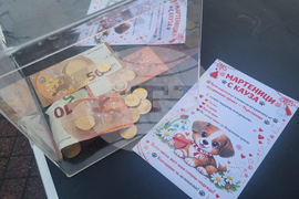 Търговище - базар - приют за кучета - благотворителност