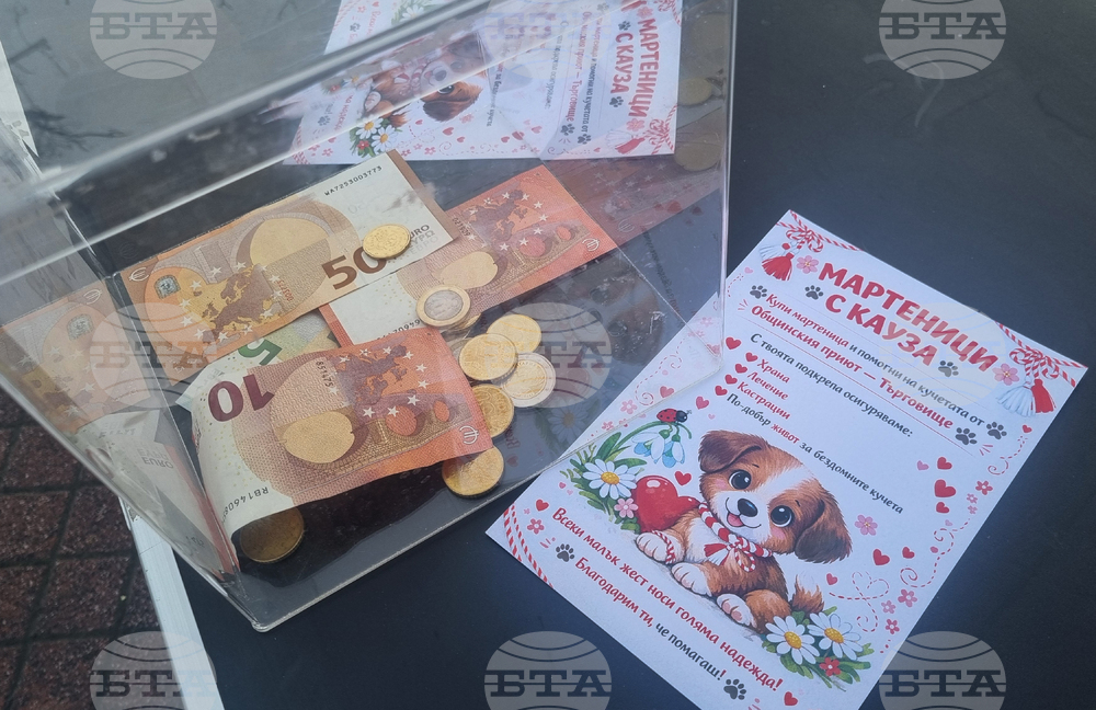 Търговище - базар - приют за кучета - благотворителност