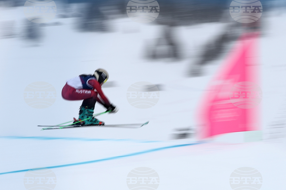 Milan Cortina Olympics Freestyle Skiing