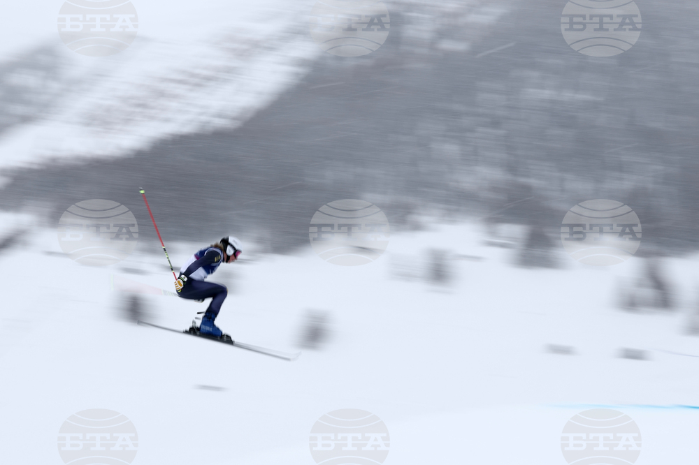 Milan Cortina Olympics Freestyle Skiing