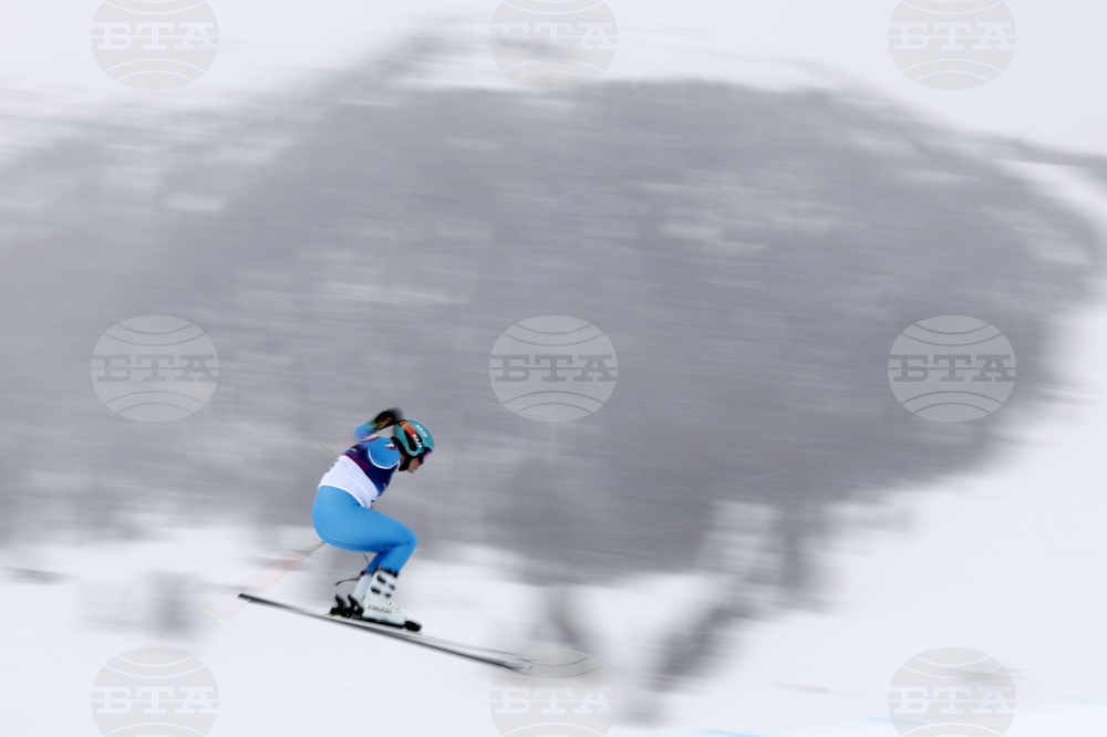 Milan Cortina Olympics Freestyle Skiing