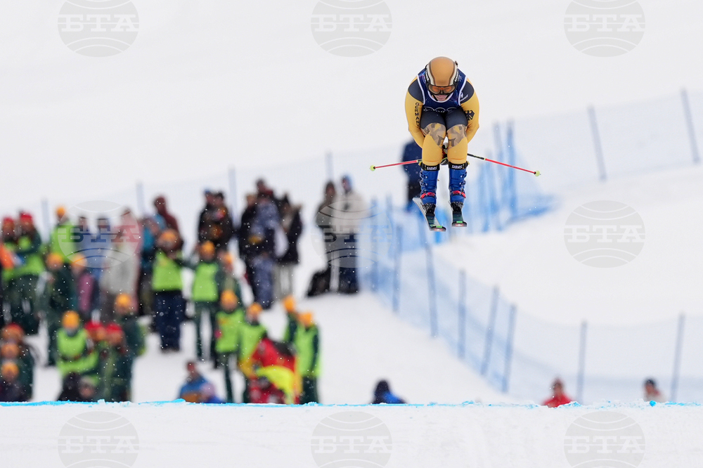 Milan Cortina Olympics Freestyle Skiing