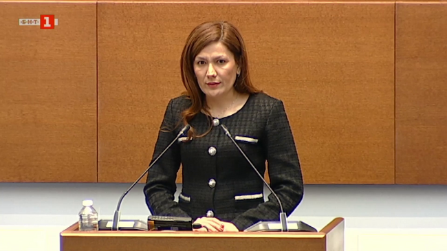 Майчиният език е първата ни родина, най-тясната връзка между миналото и бъдещето, каза Ертен Анисова от „ДПС – Ново начало“ в декларация