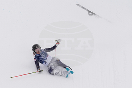 Milan Cortina Olympics Freestyle Skiing