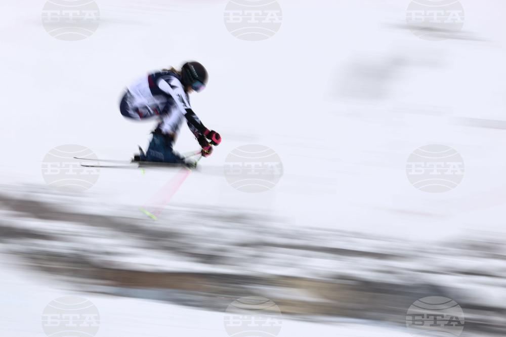Milan Cortina Olympics Freestyle Skiing