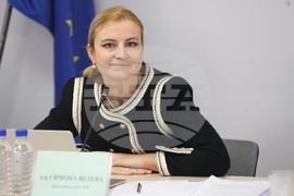 Съвет за електронни медии - кандидати за генерален директор на БНТ - избор