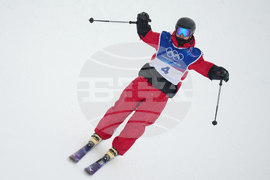 Milan Cortina Olympics Freestyle Skiing