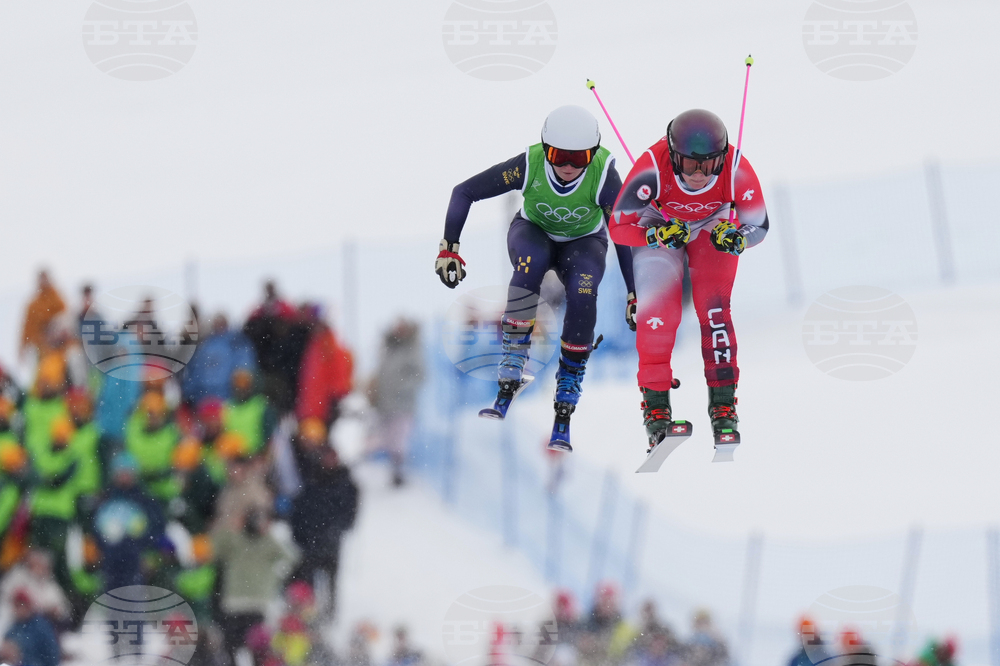 Milan Cortina Olympics Freestyle Skiing