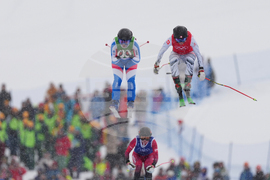 Milan Cortina Olympics Freestyle Skiing