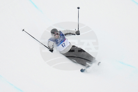 Milan Cortina Olympics Freestyle Skiing