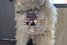 Казанлък - Втори национален конкурс за изработка на кукерски маски „Сирни Заговезни“