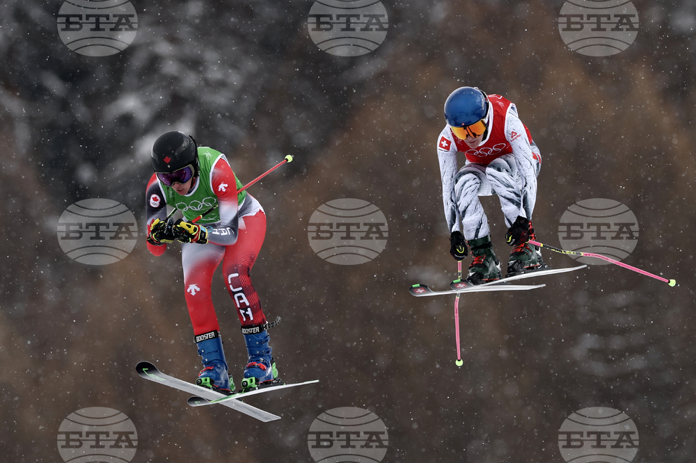 Milan Cortina Olympics Freestyle Skiing