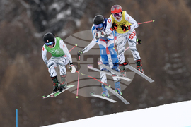 Milan Cortina Olympics Freestyle Skiing