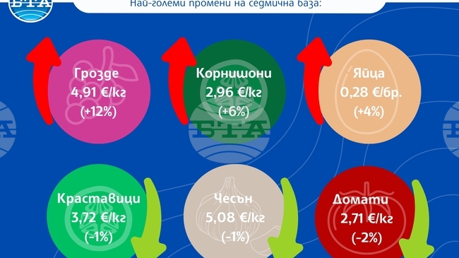 Доматите поевтиняват, докато яйцата и гроздето поскъпват, сочат данните на САПИ за цените на дребно у нас тази седмица