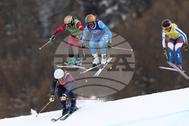 Milan Cortina Olympics Freestyle Skiing