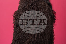 Naïka Portrait Session