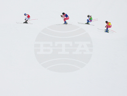 Milan Cortina Olympics Freestyle Skiing