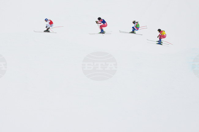 Milan Cortina Olympics Freestyle Skiing