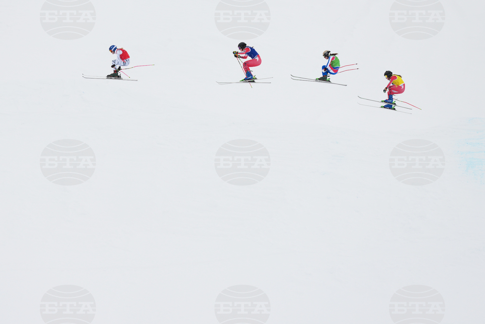 Milan Cortina Olympics Freestyle Skiing