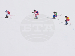 Milan Cortina Olympics Freestyle Skiing