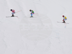 Milan Cortina Olympics Freestyle Skiing