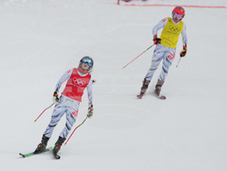 Milan Cortina Olympics Freestyle Skiing