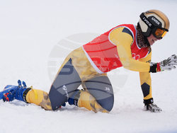 Milan Cortina Olympics Freestyle Skiing