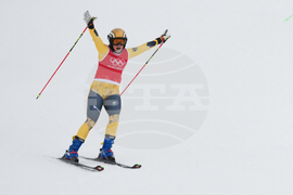 Milan Cortina Olympics Freestyle Skiing