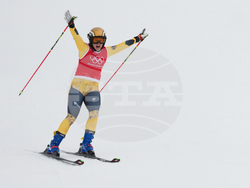 Milan Cortina Olympics Freestyle Skiing