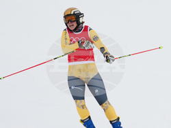 Milan Cortina Olympics Freestyle Skiing