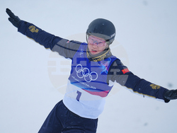 Milan Cortina Olympics Freestyle Skiing
