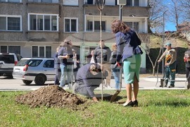 Габрово - засаждане на дървета - инициатива