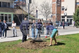 Габрово - засаждане на дървета - инициатива