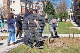 Габрово - засаждане на дървета - инициатива
