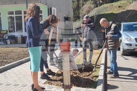 Габрово - засаждане на дървета - инициатива
