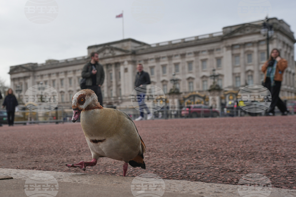 Britain Epstein Andrew