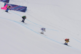 Milan Cortina Olympics Freestyle Skiing