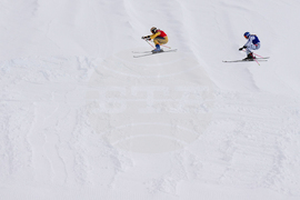 Milan Cortina Olympics Freestyle Skiing