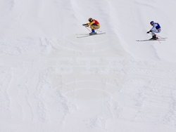 Milan Cortina Olympics Freestyle Skiing