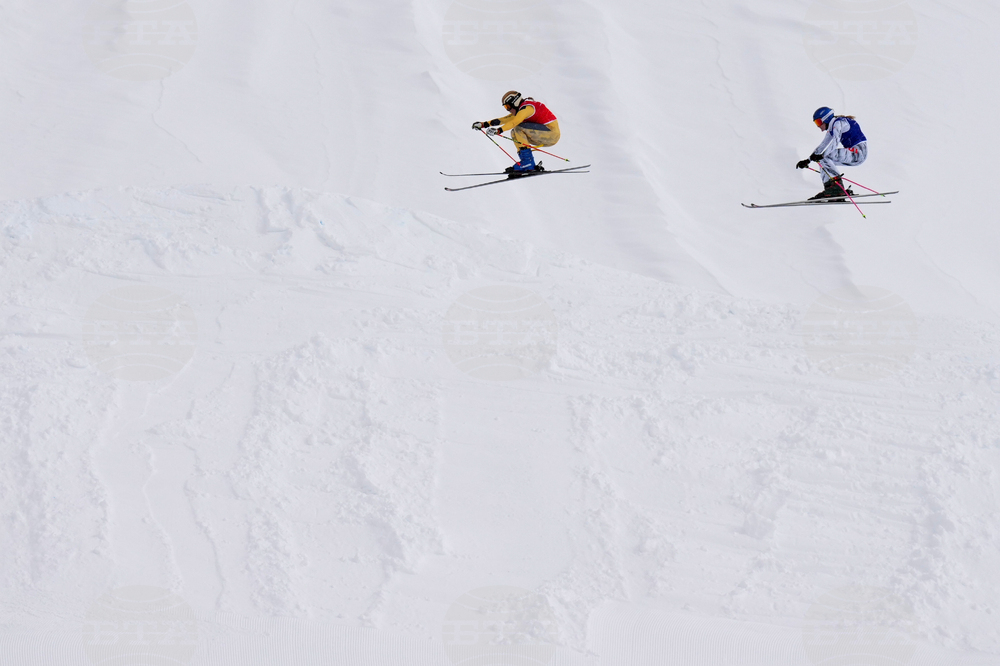Milan Cortina Olympics Freestyle Skiing