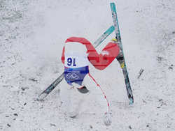 Milan Cortina Olympics Freestyle Skiing