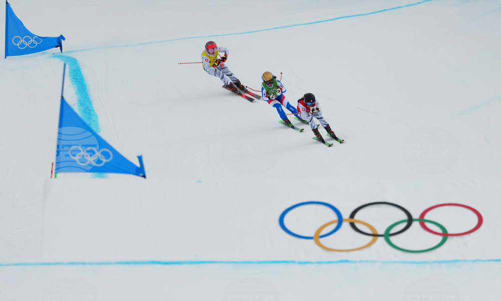 Milan Cortina Olympics Freestyle Skiing