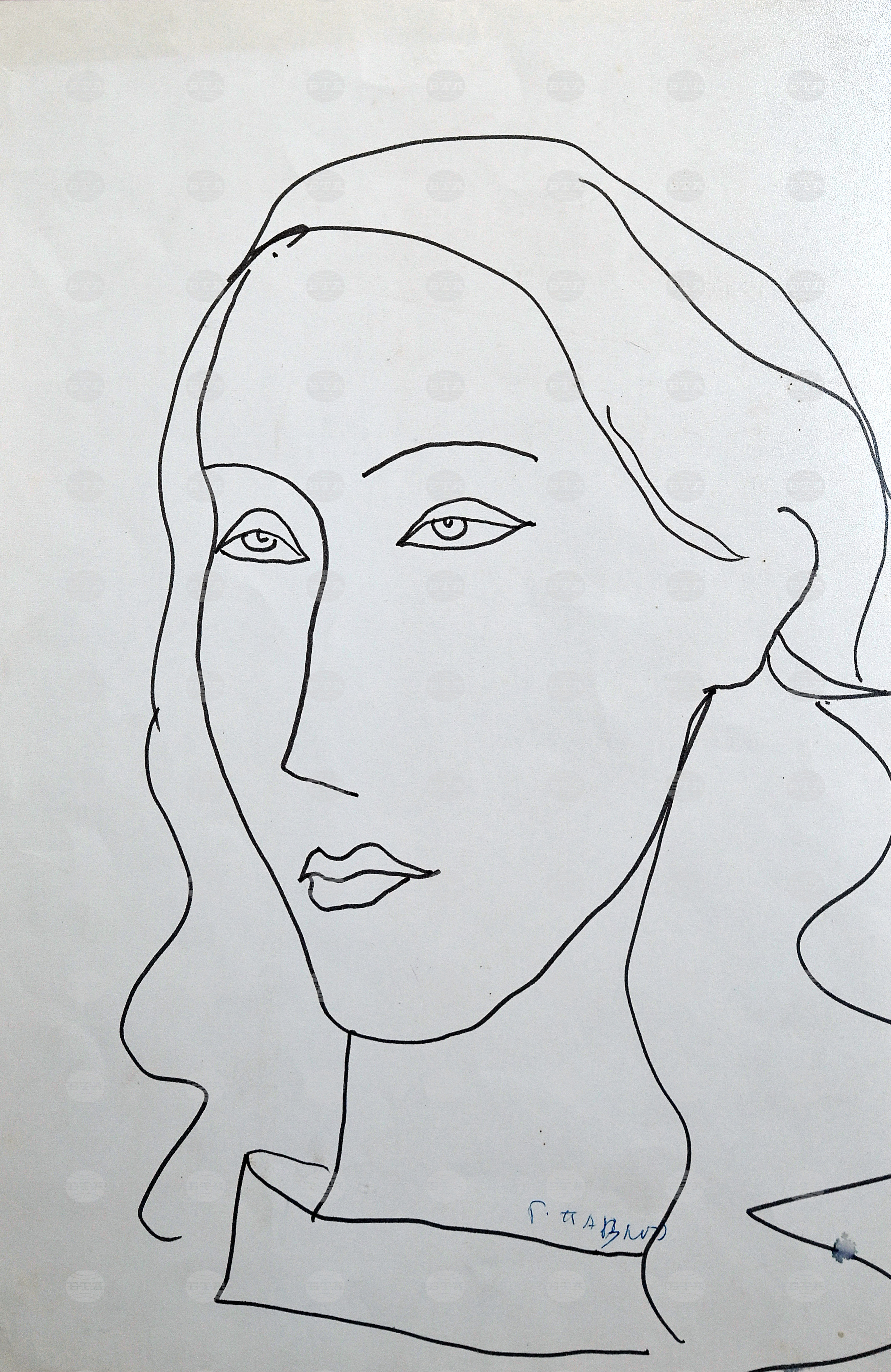 Чипровци - Павлето - изложба