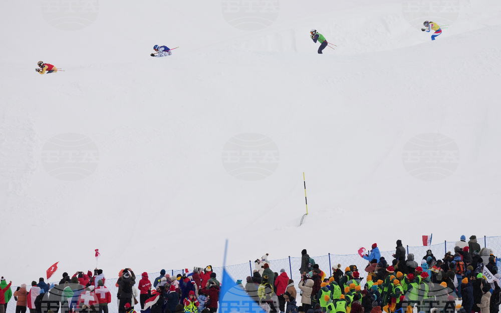 Milan Cortina Olympics Freestyle Skiing