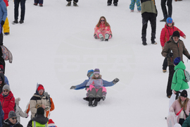 Milan Cortina Olympics Freestyle Skiing