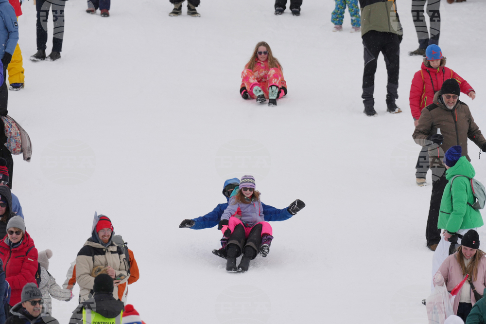 Milan Cortina Olympics Freestyle Skiing