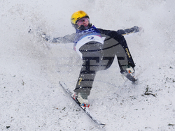 Milan Cortina Olympics Freestyle Skiing