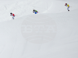 Milan Cortina Olympics Freestyle Skiing