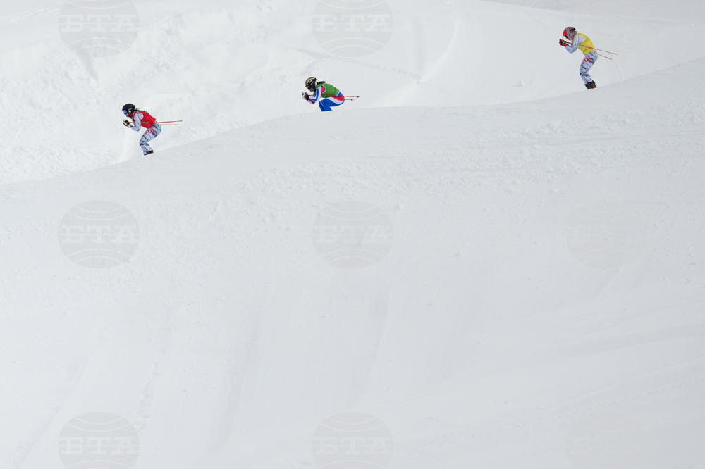 Milan Cortina Olympics Freestyle Skiing