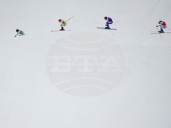 Milan Cortina Olympics Freestyle Skiing